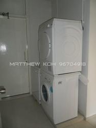 Village Tower (D10), Condominium #95864242